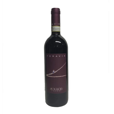 Barbera d'Asti Superiore Nizza 2019 Foravia Scagliola