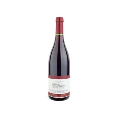 Sudtiroler Blauburgunder 2016 Weingut Gottardi
