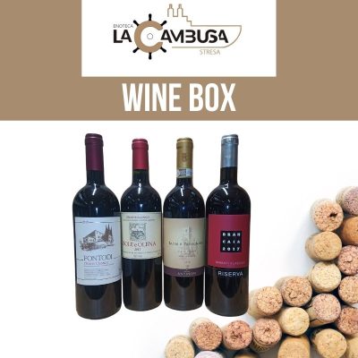 Chianti Classico Box (4 Bottles) Fontodi - Isole e Olena - Antinori - Brancaia