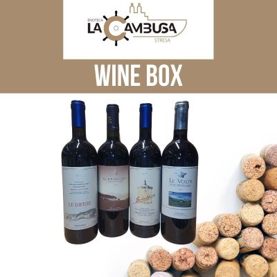 Toscana Box (4 Bottles) Tenuta San Guido - Antinori - Ornellaia