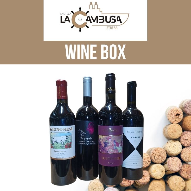 Toscana Box (4 Bottles) Avignonesi - Cavallari - Tua Rita - Gaja