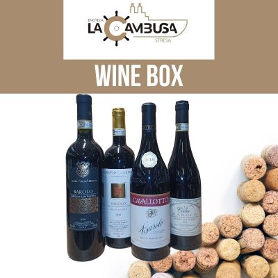 Barolo Box (4 Bottles) Anna Maria Abbona - Silvio Grasso - Cavallotto - Cadia