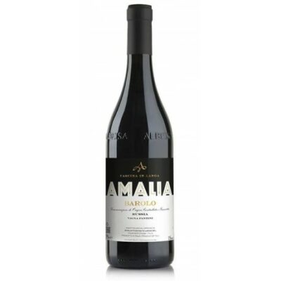 Amalia Barolo Bussia Vigna Fantini 2020